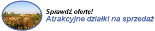 Atrakcyjne dzia�ki na sprzeda�