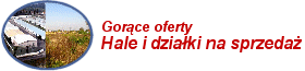 Hale i dzia�ki na sprzeda�